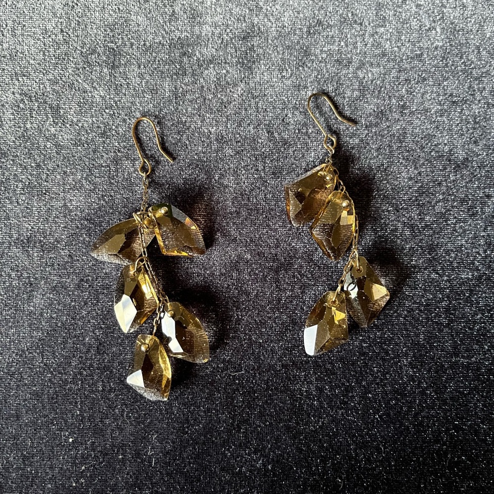 Smokey Gray Stoned Dangle earrings